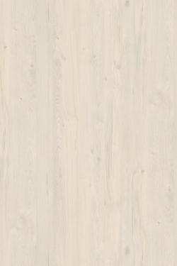 K080 Дуб Приморский Белый