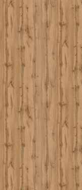 Дуб Водан U604