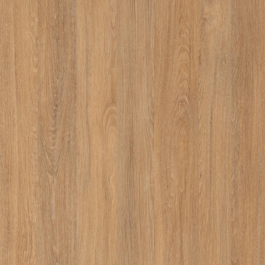 5521 Дуб Сантана